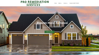 Thumbnail of acemoldrem.com