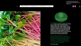 Thumbnail of thegreenhousebrothers.com