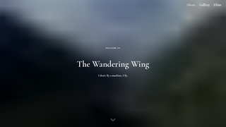 Thumbnail of thewanderingwing.com
