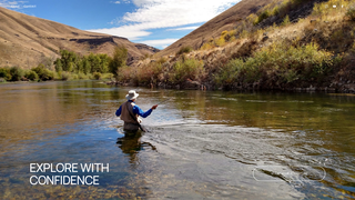 Thumbnail of hutchflyfish.com