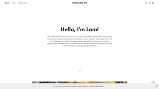 Thumbnail of tunglamvu.com