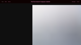 Thumbnail of profinvestmentcompanylimited.com