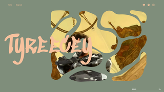 Thumbnail of tyreecey.com