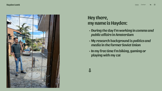 Thumbnail of haydnlutek.com