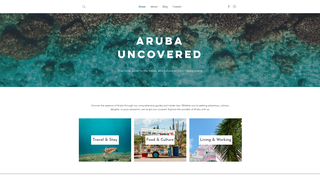 Thumbnail of arubauncovered.com