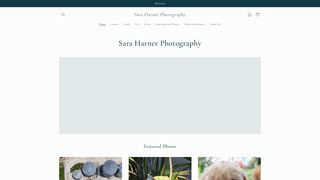 Thumbnail of saraharnerphotography.com