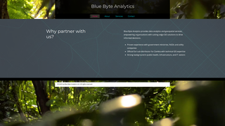 Thumbnail of bluebyteanalytics.com