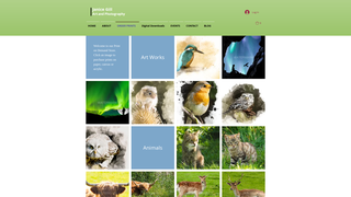Thumbnail of jangill.net