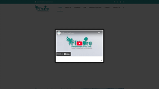 Thumbnail of flysurehealthcare.com