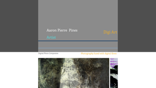 Thumbnail of aaronpierrepines.net