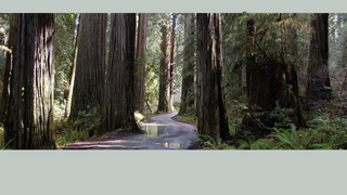 Thumbnail of lcrii.com