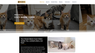 Thumbnail of cozymainecoon.com
