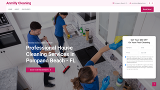 Thumbnail of anmillycleaning.com