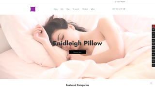 Thumbnail of enidleigh.com