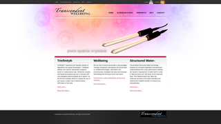 Thumbnail of transcendentwellbeing.com