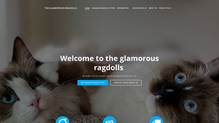 Thumbnail of glamorousragdolls.com
