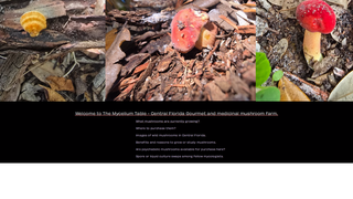 Thumbnail of themyceliumtable.com