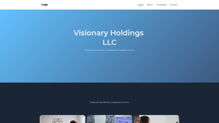 Thumbnail of visionaryhllc.com