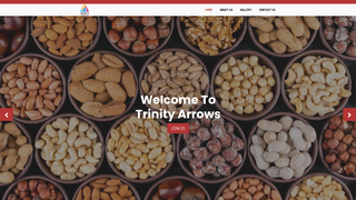 Thumbnail of trinityarrows.com