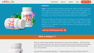 Thumbnail of us-mitloyn.com