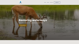 Thumbnail of bluehorizonenvironmental.com