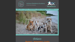 Thumbnail of achieveobedience.com