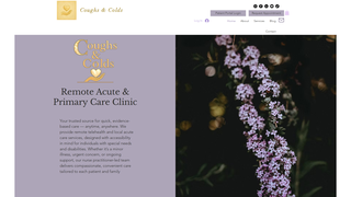 Thumbnail of coughsandcolds.com