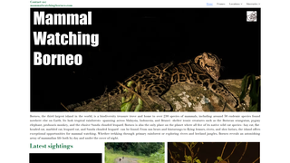 Thumbnail of mammalwatchingborneo.com