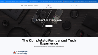 Thumbnail of electrashp.com