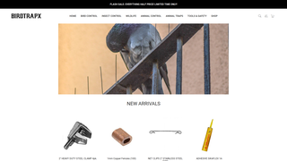 Thumbnail of birdtrapx.com