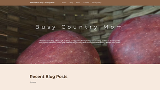 Thumbnail of busycountrymom.com
