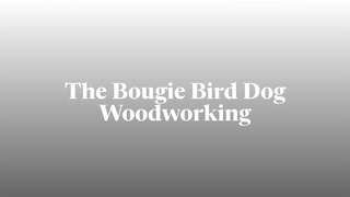 Thumbnail of bbirddogww.com