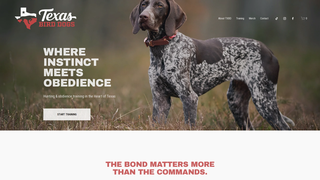 Thumbnail of texasbirddogstraining.com