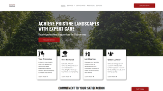 Thumbnail of customtreesremovals.net