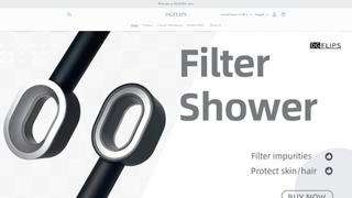 Thumbnail of dgflips.com