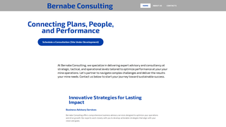 Thumbnail of bernabeconsulting.com