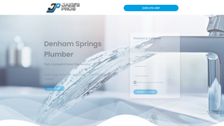 Thumbnail of plumberdenhamsprings.com