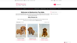Thumbnail of barboncinotoyitalia.com