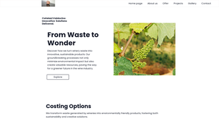 Thumbnail of catalanivaldovino.com