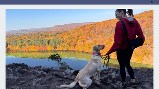 Thumbnail of vesperk9.com