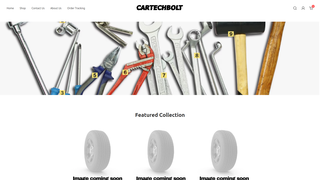 Thumbnail of cartechbolt.com