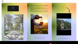 Thumbnail of vineluxtours.com