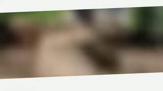 Thumbnail of treeoflifelandscapingcc.com