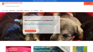 Thumbnail of minipuppiesparadise.com