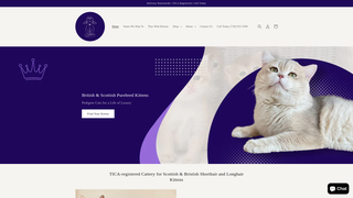 Thumbnail of britishpurebredkittens.com