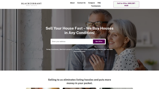 Thumbnail of blackcurrantinvestments.com