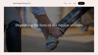 Thumbnail of bristolequine.com