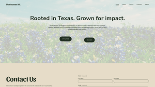website thumbnail