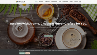 Thumbnail of strivelift.com