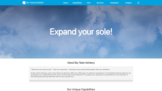 Thumbnail of skyteamadvisory.com